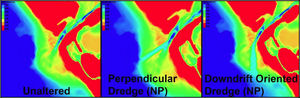 NP BSP Fig4.jpg