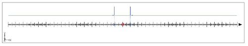 Figure 7. GenCade straight shoreline with structured inlet domain.