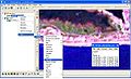 Thumbnail for version as of 19:39, 23 September 2010