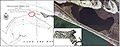 Thumbnail for version as of 21:35, 3 November 2010