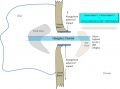Thumbnail for version as of 17:33, 18 May 2012