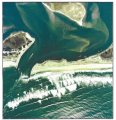 Thumbnail for version as of 19:42, 21 February 2012