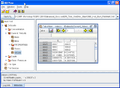Thumbnail for version as of 22:47, 18 January 2011