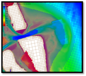 Validation St.A Morphology Change6.png