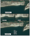 Thumbnail for version as of 21:45, 7 January 2011
