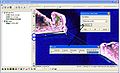 Thumbnail for version as of 21:32, 23 September 2010