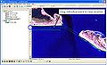 Thumbnail for version as of 21:15, 1 November 2010