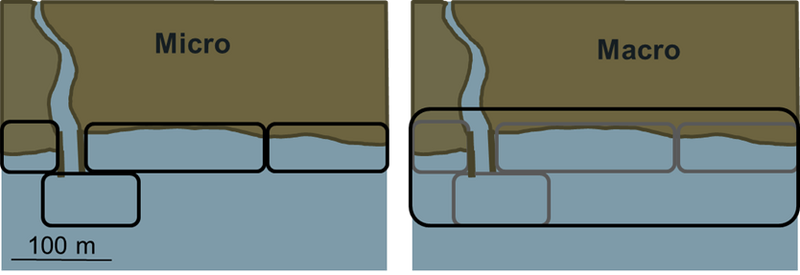 File:Macro V Micro Image.png